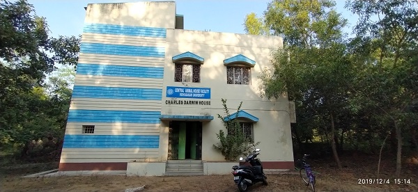 Animal House Image 1