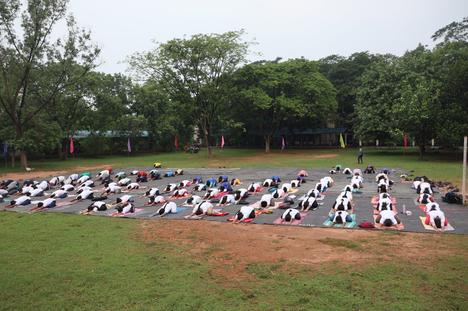 International Yoga Day 2026 (15)
