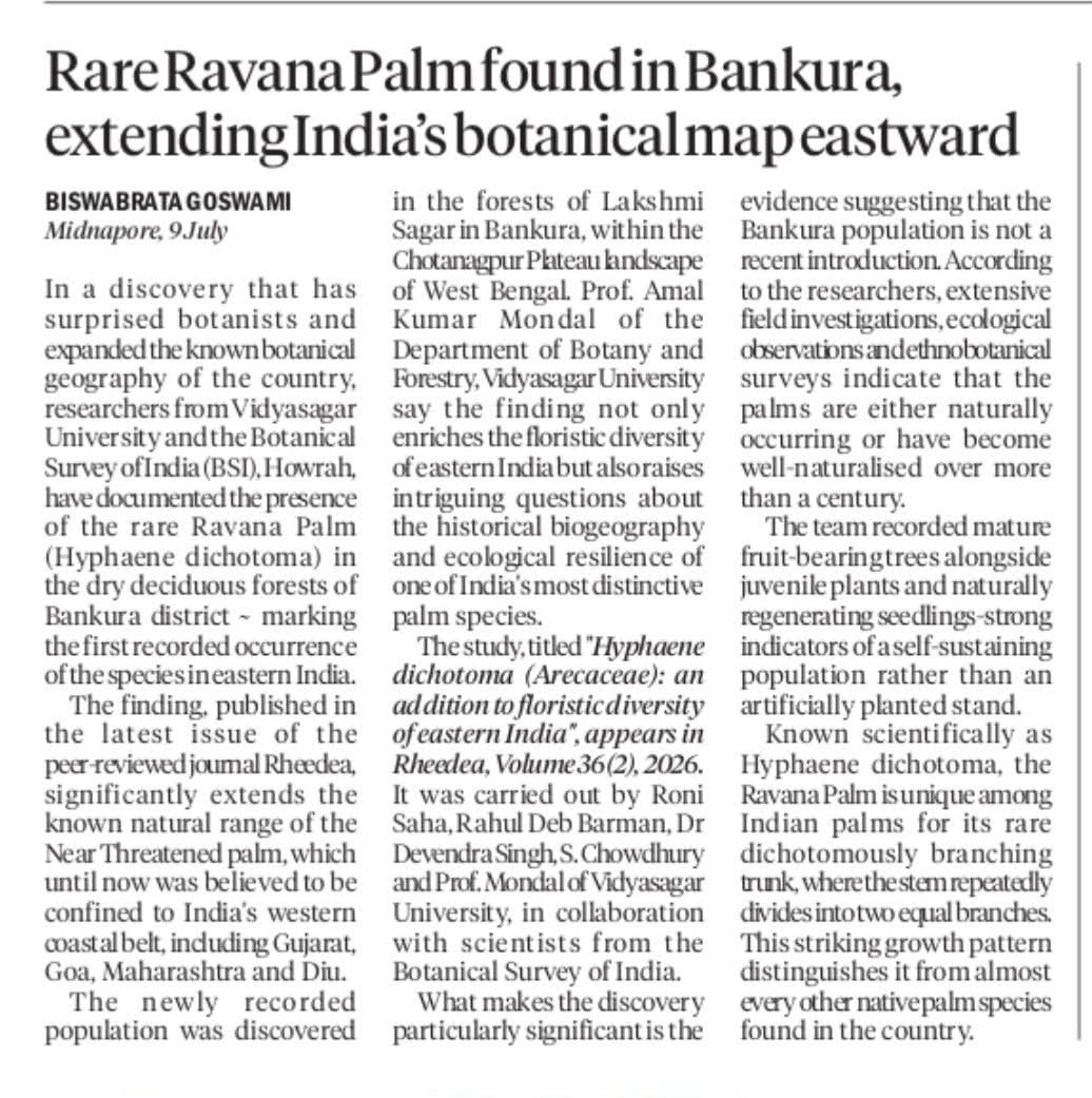 Rare Ravana Palm Found