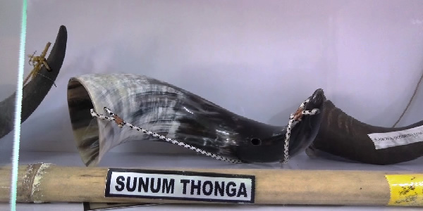 'Sunum Thonga', a hornpipe made of buffalo horns and used in adivasi folk rituals