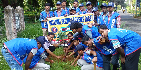 Tree Plantation
